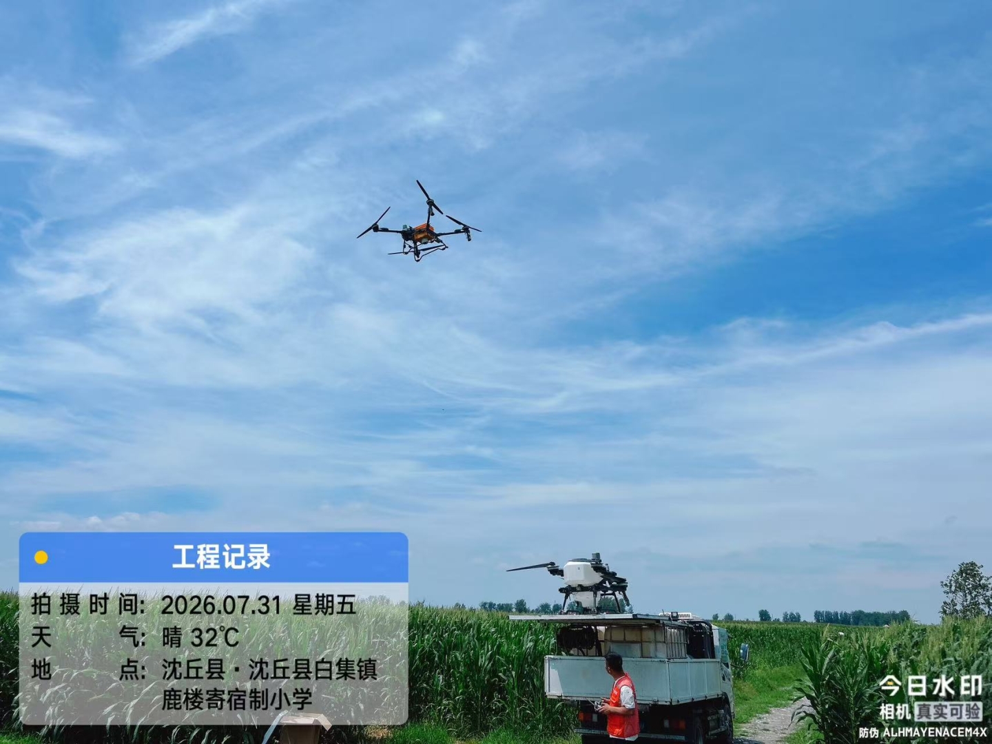 以虫治虫护秋粮！科云&reg;赤眼蜂助力河南绿色植保保丰收